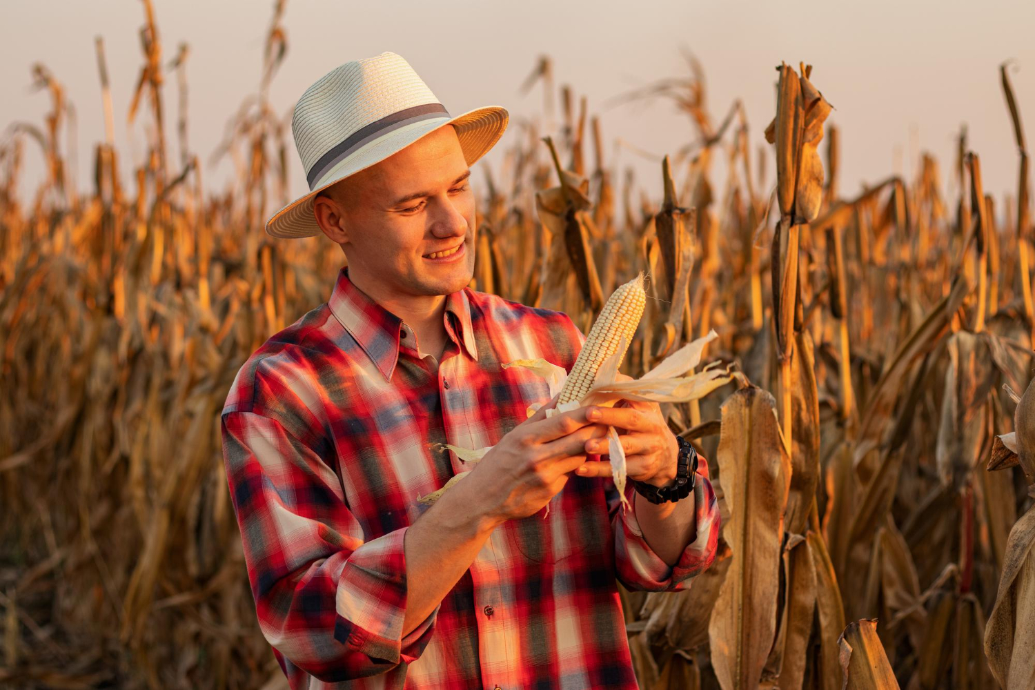 Junie Insurance Group/ farm insurance